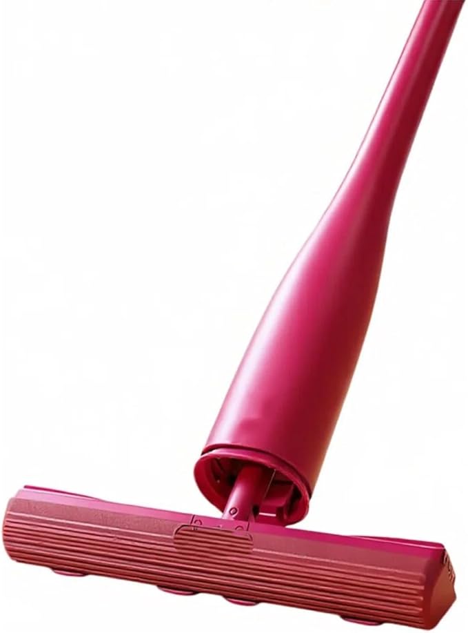 Mop (2 Heads)