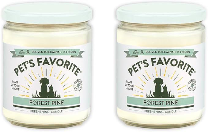 Forest Pine