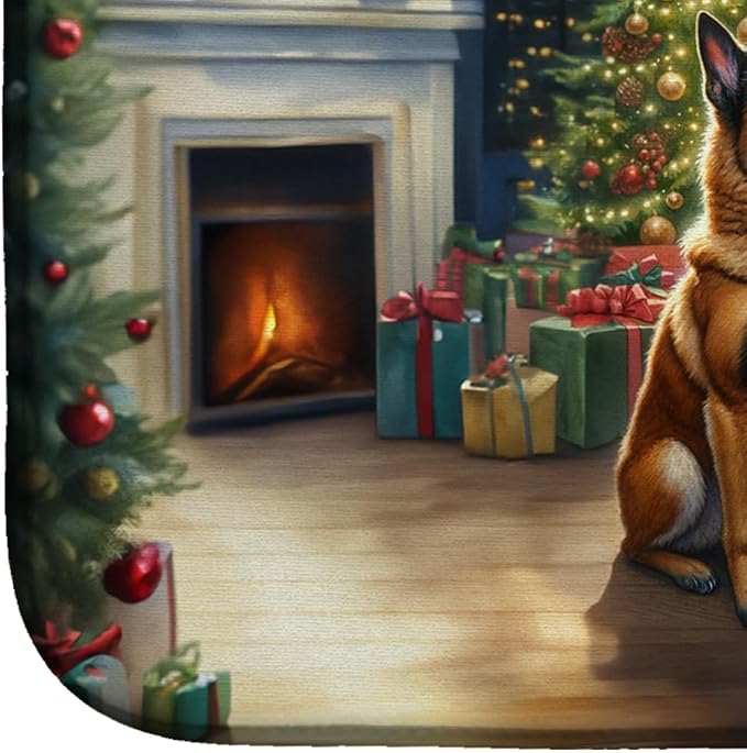 Belgian Malinois 4066