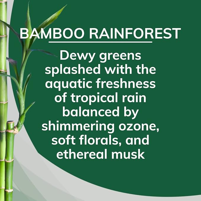 Bamboo Rainforest