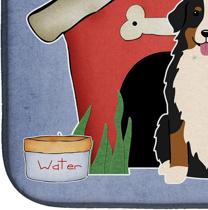 Bernese Mountain Dog