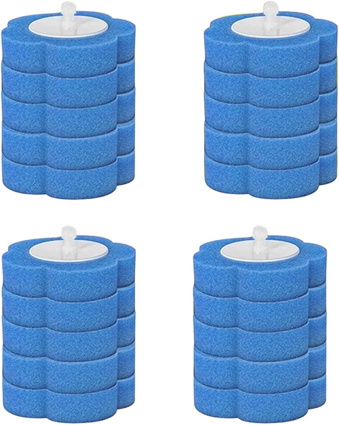 20 Ocean Sponge