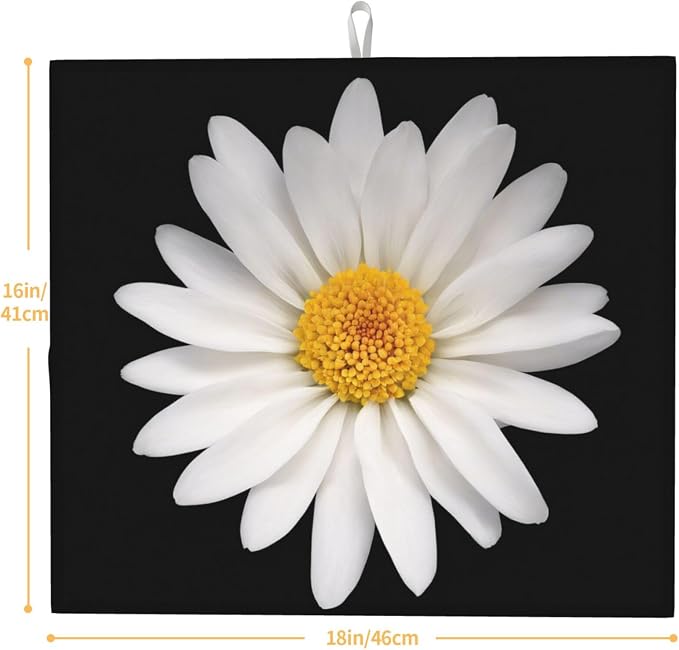 White Daisy Flower