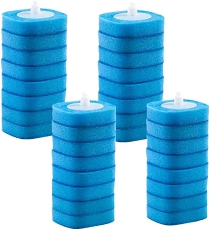 Blue Heads