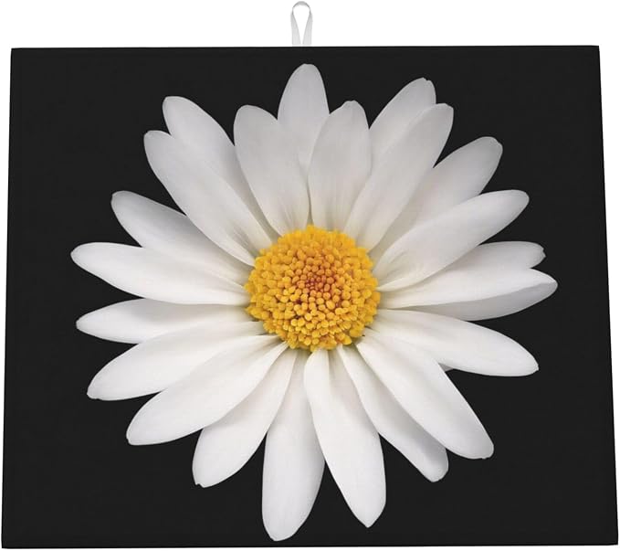White Daisy Flower