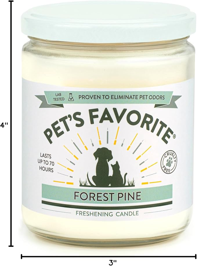 Pumpkin Spice and Forest Pine