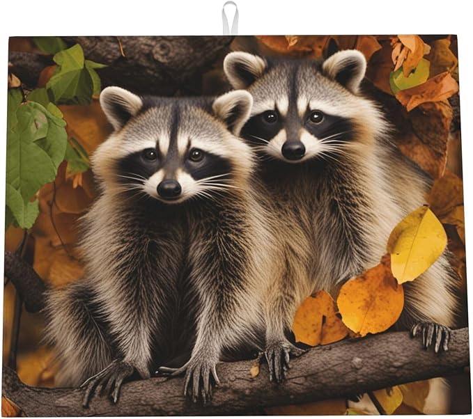 Autumn Leaf Brown Raccoons