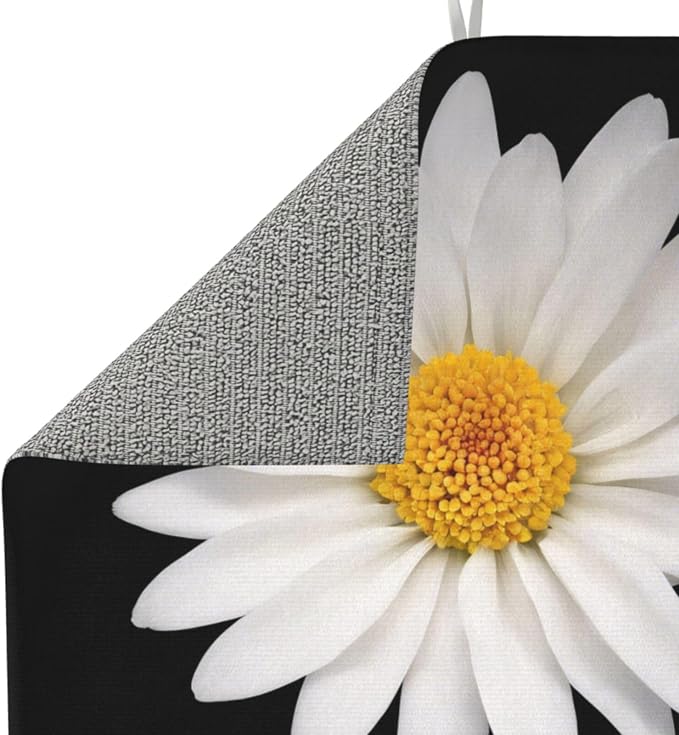 White Daisy Flower