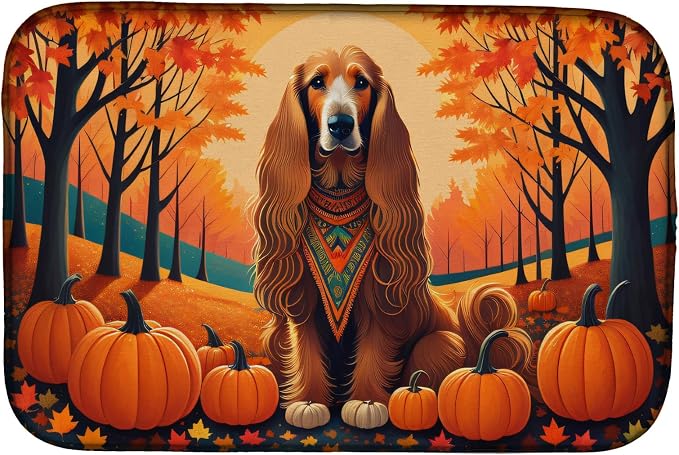 Afghan Hound
