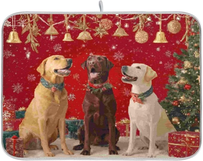 three labrador retrievers