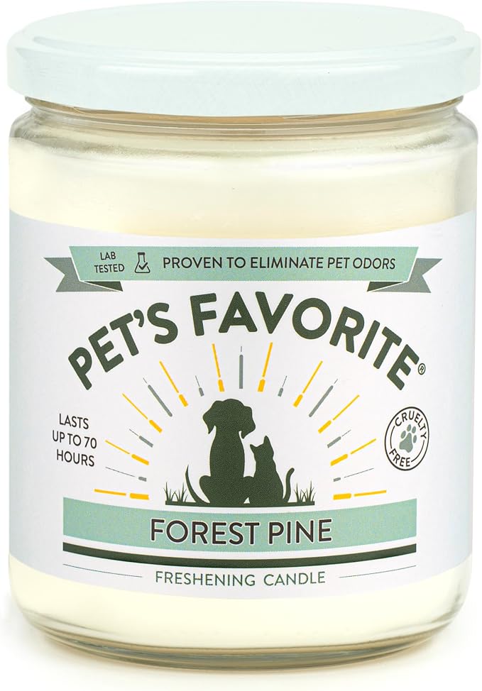 Pumpkin Spice and Forest Pine