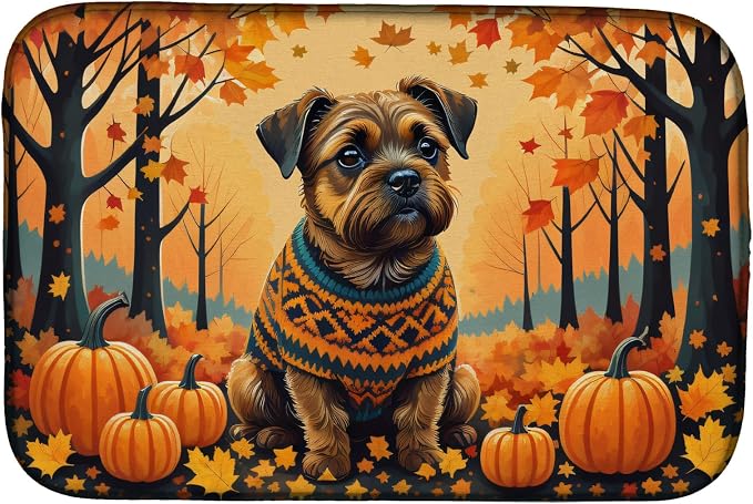 Border Terrier