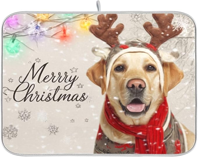 yellow labrador in a christmas