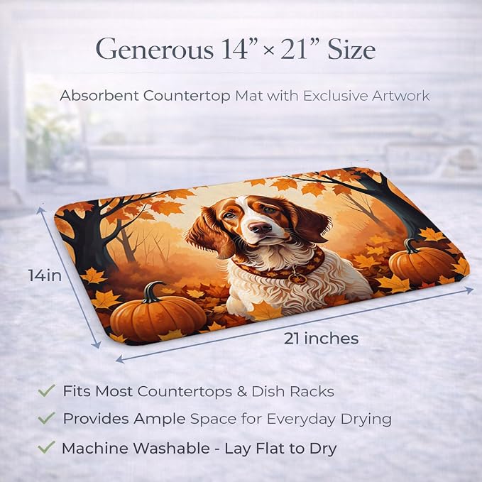 Brittany Spaniel
