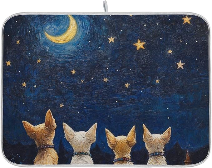 cute Chihuahuas backs blue nighty sky