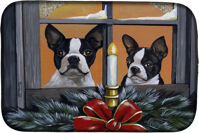 Boston Terrier Looking for Santa Christmas