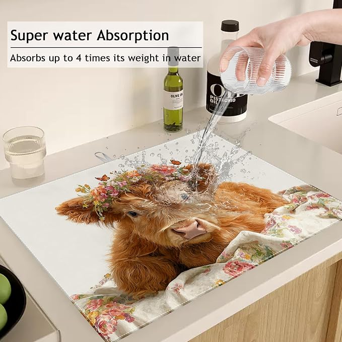 Highland Cow