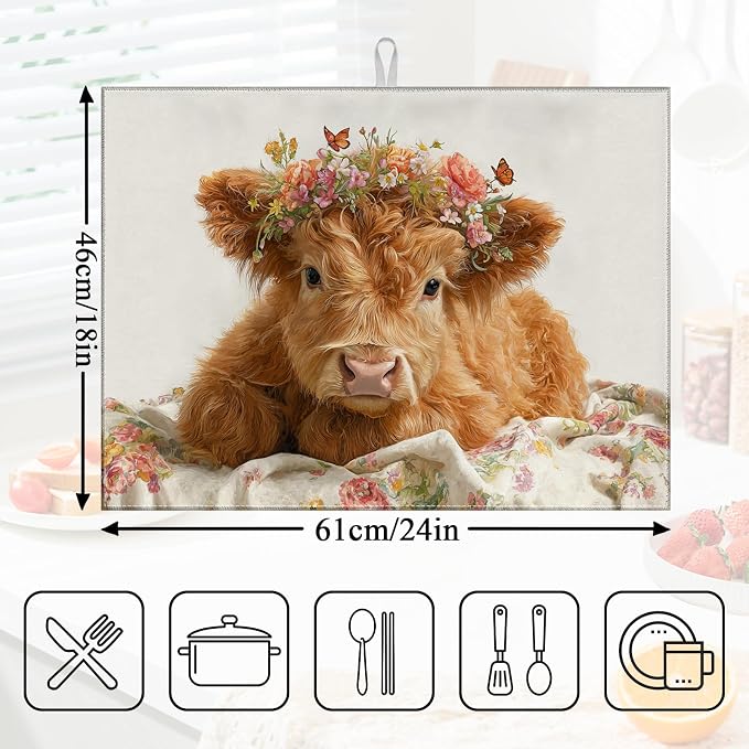 Highland Cow