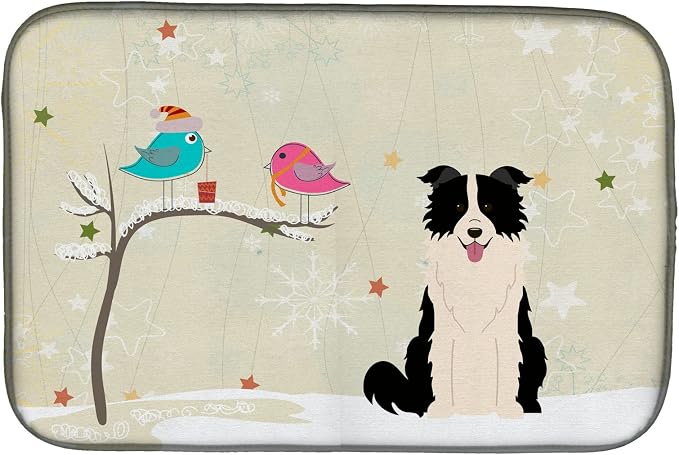 Border Collie - Black and White