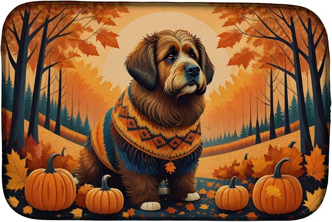 Briard