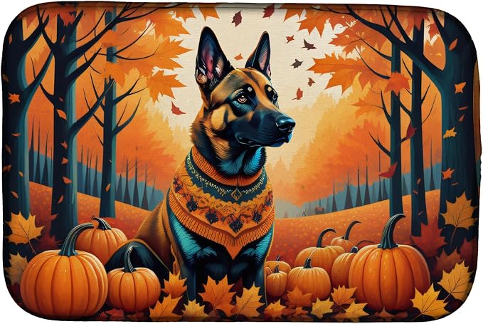 Belgian Malinois