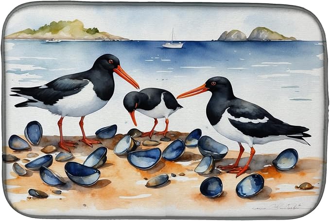 Oystercatchers Feeding 7521