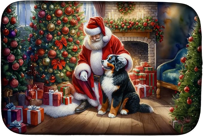 Bernese Mountain Dog 4071