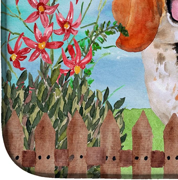 Basset Hound