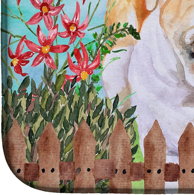 English Bulldog