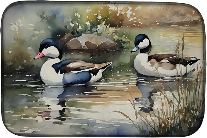 Bufflehead 3194