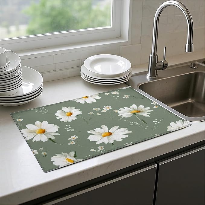White Daisy Flowers