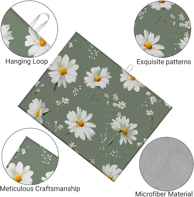 White Daisy Flowers