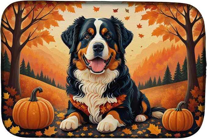 Bernese Mountain Dog