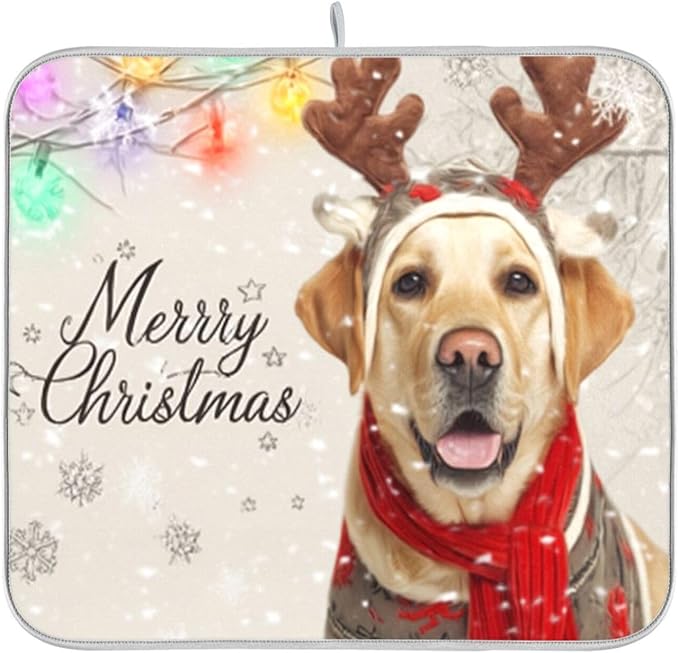 yellow labrador in a christmas