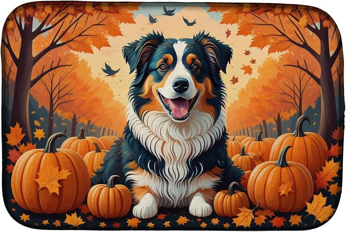 Australian Shepherd