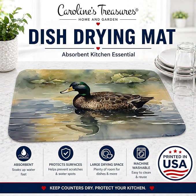 American Black Duck 3178