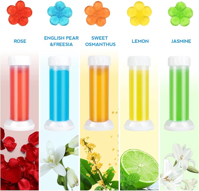 Scent B