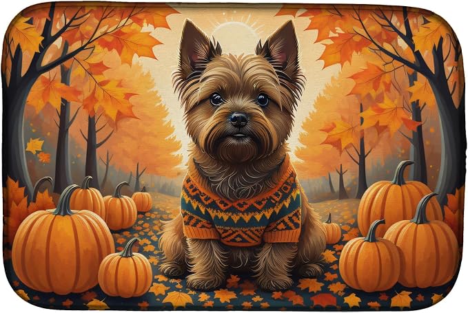 Cairn Terrier
