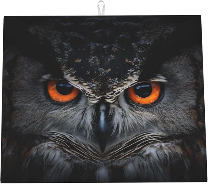 Orange Eye Owl