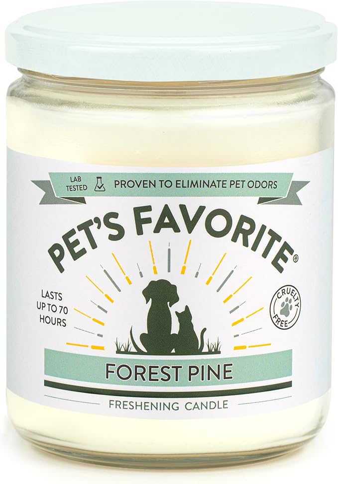 Forest Pine