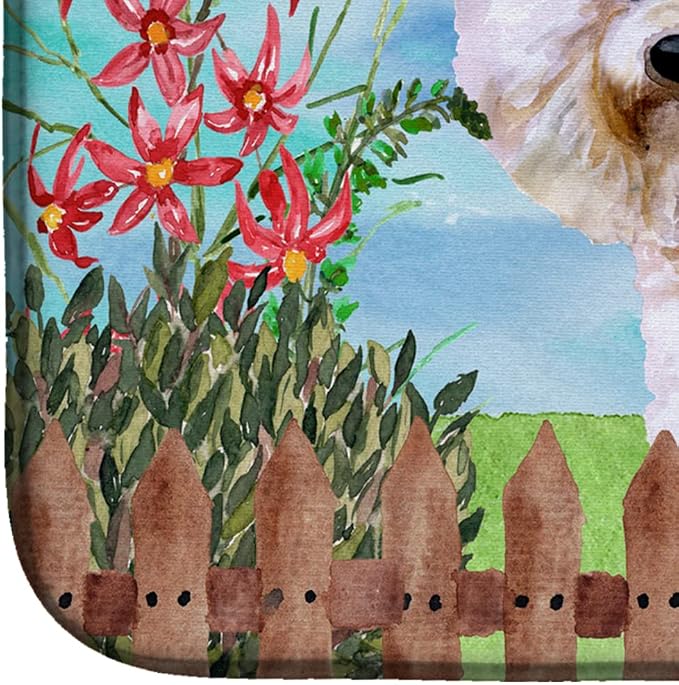 Bichon Frise #2