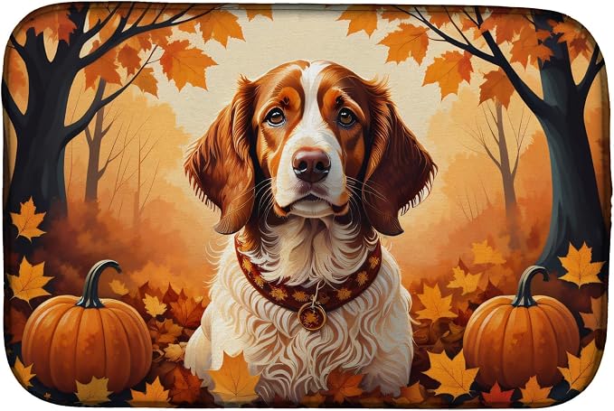 Brittany Spaniel