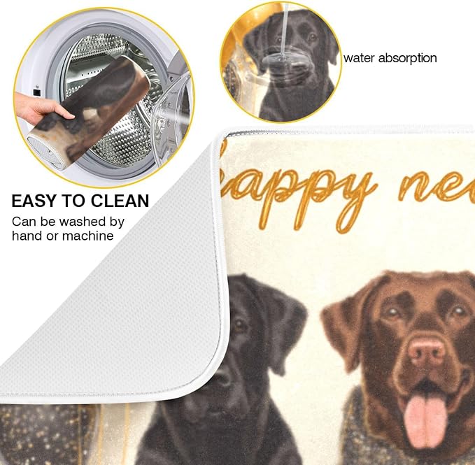 three black labrador dogs