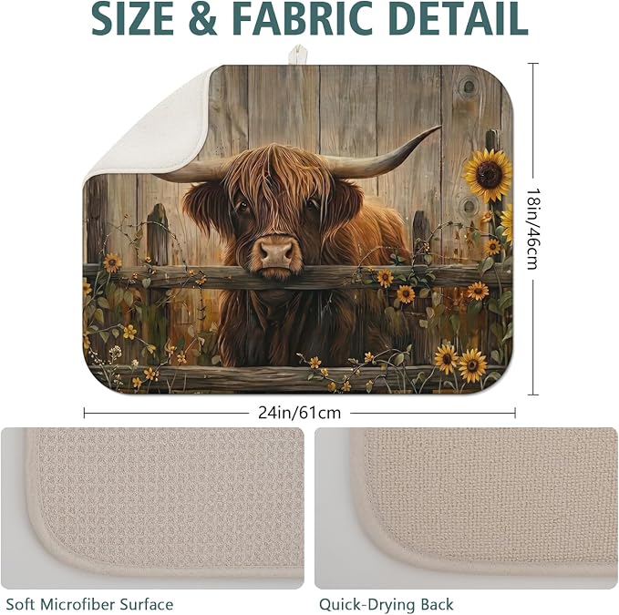 Highland Cow