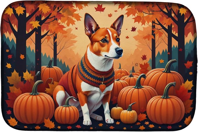 Basenji Red