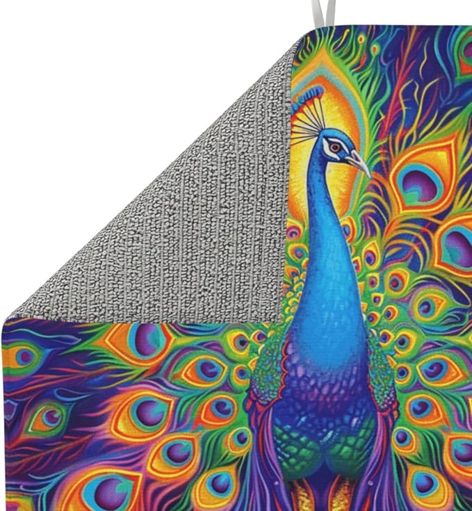 Colorful Peacock Feathers