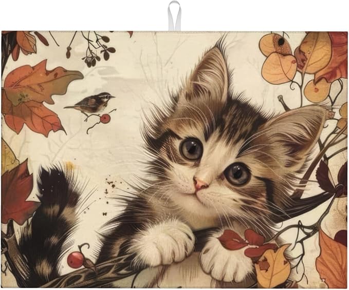 Cute Cat