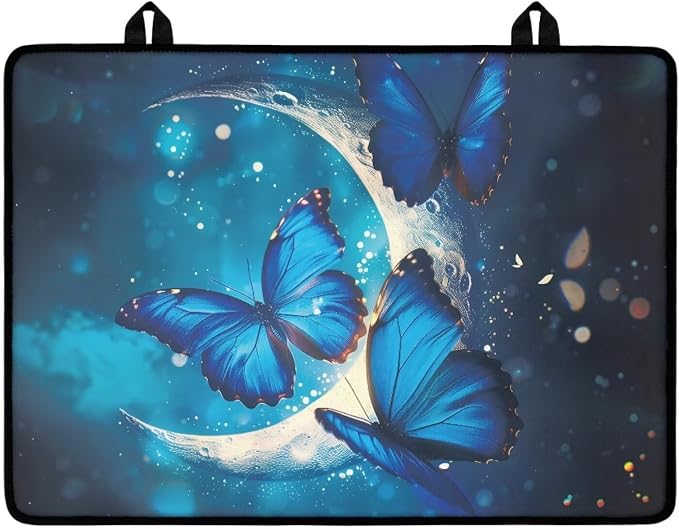 Blue Butterfly and Moon