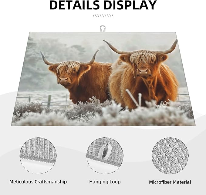 Highland Cow
