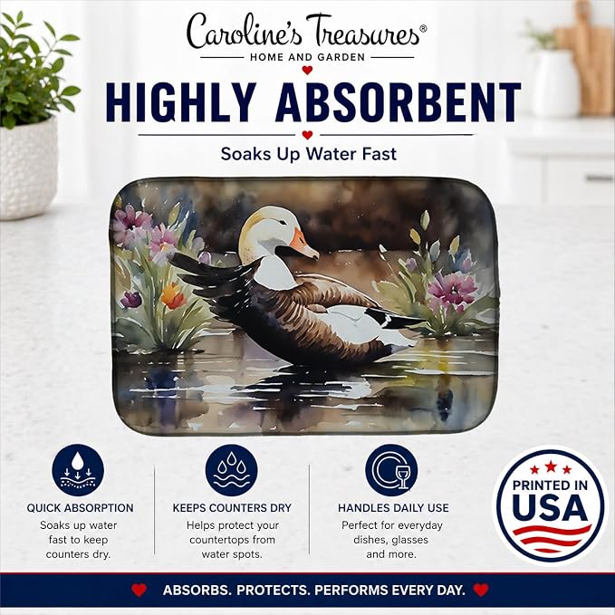 Common Eider Duck 3203